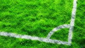 Green Grass at the Stadium