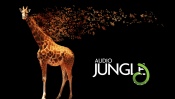 Audio Jungle, Giraffe