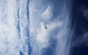 Plane, Sky, Clouds