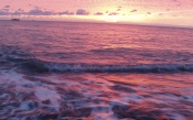 Sea, Waves, Pink Sunset
