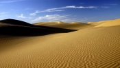 The Desert, The Sand, The Heat