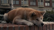 Hachiko: A Dogs Story