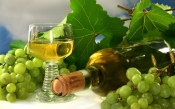 White Grapes and Wine