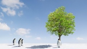 Penguins, Snow, and Green Tree