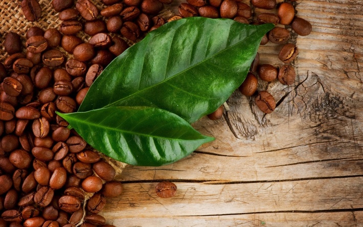 Coffee Grains and Leaves