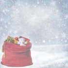 Bag with Gifts