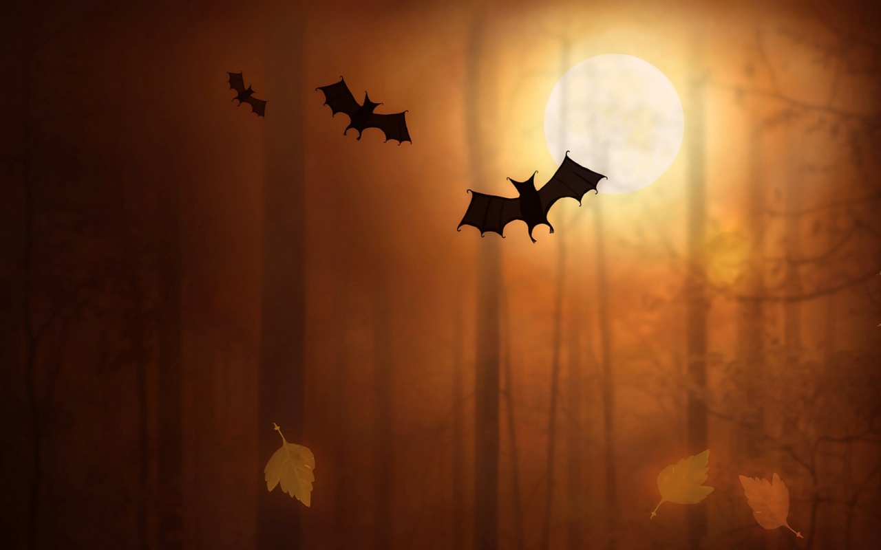 Bats in the Forest