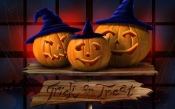 Trick or Treat? Halloween Pumpkins