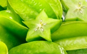 Carambola, Green Star
