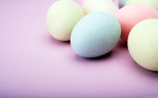 Eggs in Pastel Colors