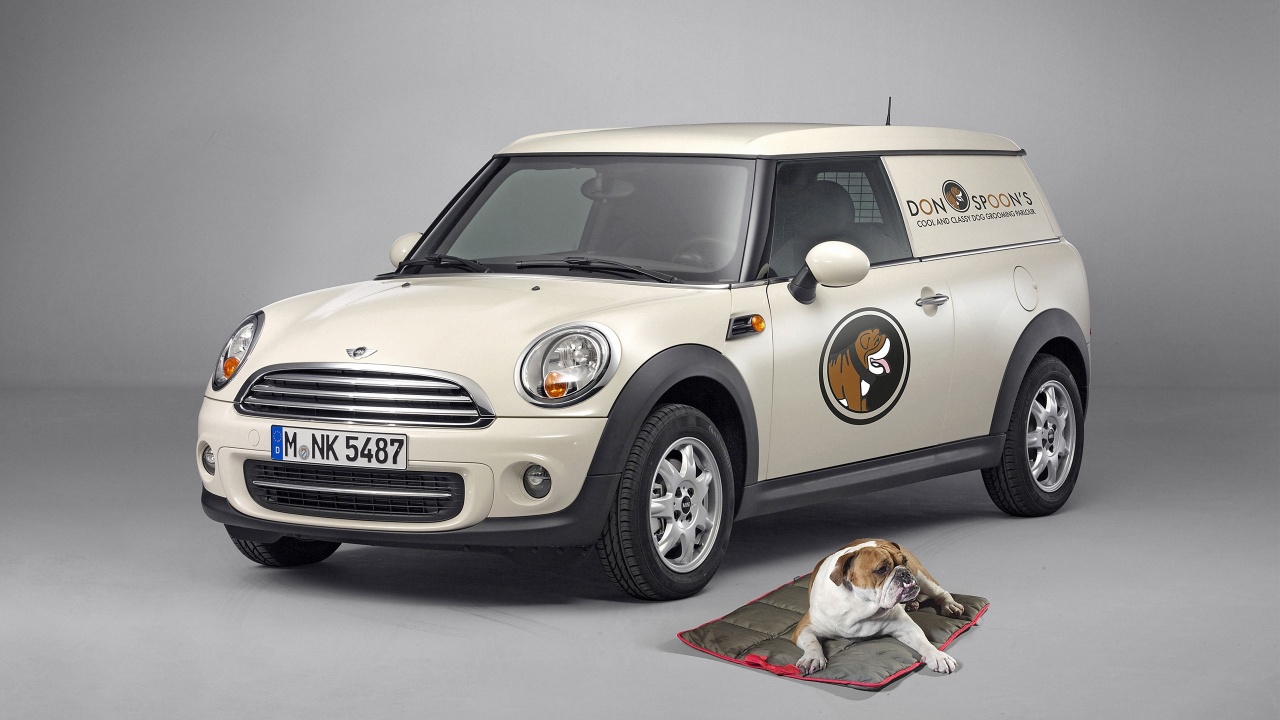 Mini Clubvan 2013 and the Dog