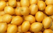 Many Lemons