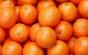 Many Oranges
