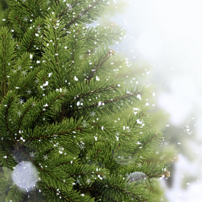 Snowflakes on the Christmas Tree