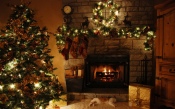 Christmas Tree, a Fireplace, a Cat