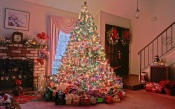 Elegant Christmas Tree 2560x1600