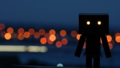 Danboard and the Lights of the Big City