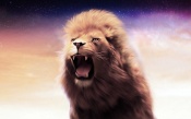 The Lions Roar