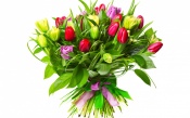 Big Bouquet of Beautiful Tulips