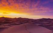 Sunset in Sand Dunes of Sahara