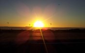 Kites at Sunset