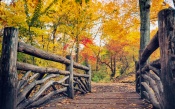 Autumn in Central Park, Rustic Bridge